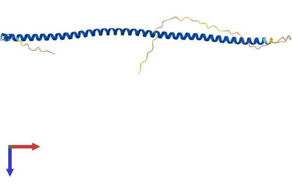 CCDC85B Protein (AA 1-202) (His tag)