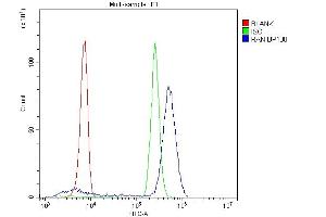 Flow Cytometry analysis of U937 cells using anti-Ran antibody (ABIN5518950). (RAN Antikörper  (AA 2-216))