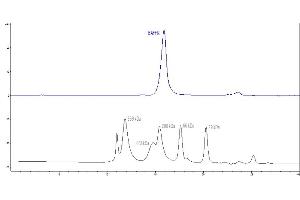 High Pressure Liquid Chromatography (HPLC) image for Tumor Necrosis Factor Receptor Superfamily, Member 13C (TNFRSF13C) (AA 10-71) (Active) protein (Fc Tag) (ABIN5526590)