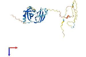 UFD1L Protein (AA 1-307) (His tag)