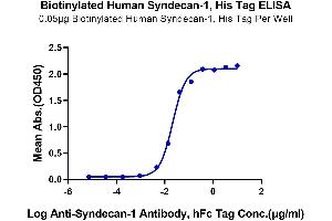 ELISA image for Syndecan 1 (SDC1) (AA 23-254) protein (His-Avi Tag,Biotin) (ABIN7275679)