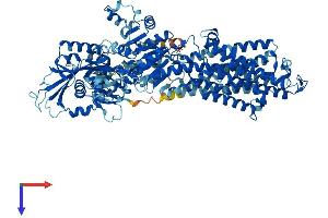 ATP1A3 Protein (AA 1-1013) (His tag)