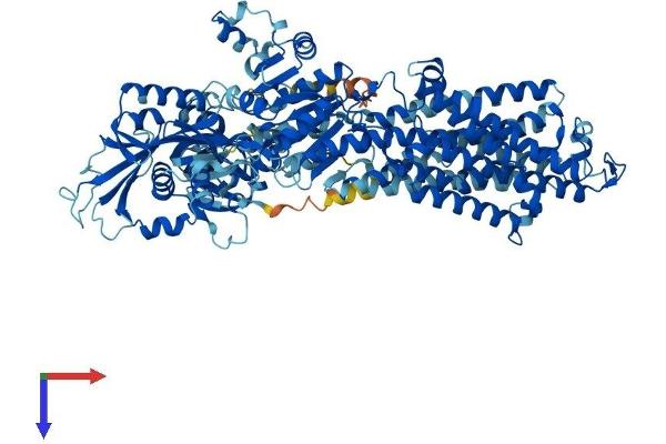 ATP1A3 Protein (AA 1-1013) (His tag)