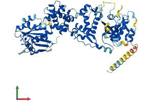 AlphaFold protein structure predicition of Mouse Recombinant Rhot2 Protein, UniprotID Q8JZN7