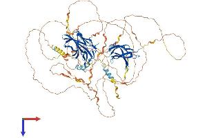 NFATC4 Protein (AA 1-901) (His tag)
