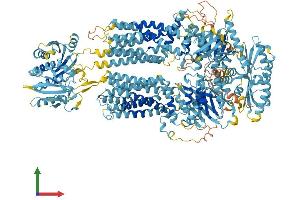 AlphaFold protein structure predicition of Mouse Recombinant Abca5 Protein, UniprotID Q8K448