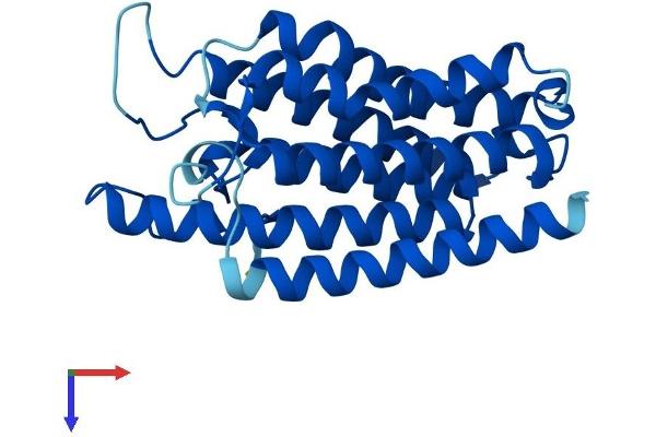 SRD5A1 Protein (AA 1-255) (His tag)