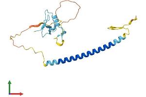 Protein Structure (PS) image for THAP Domain Containing, Apoptosis Associated Protein 1 (THAP1) (AA 1-213) protein (His tag) (ABIN7544470)