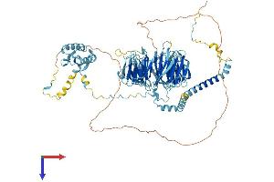 EIF3B Protein (AA 1-803) (His tag)