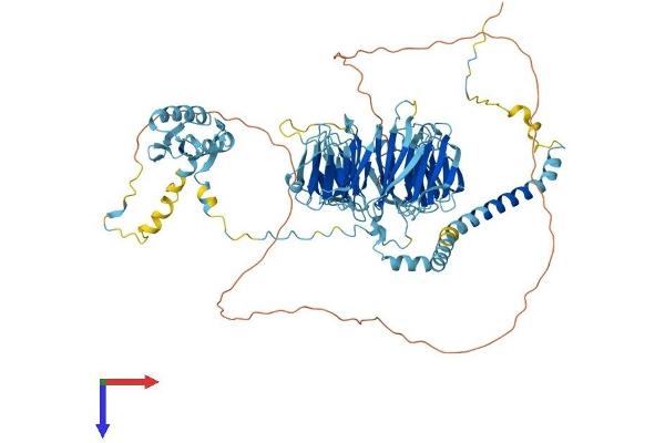 EIF3B Protein (AA 1-803) (His tag)