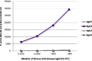 FLISA plate was coated with purified human IgG1, IgG2, IgG3, and IgG4. (Maus anti-Human IgG2 (Fc Region) Antikörper (Alkaline Phosphatase (AP)))