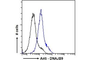 ABIN768557 Flow cytometric analysis of paraformaldehyde fixed A431 cells (blue line), permeabilized with 0. (DNAJB9 Antikörper  (AA 61-75))