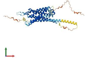 Protein Structure (PS) image for Neurotensin Receptor 2 (NTSR2) (AA 1-416) protein (His tag) (ABIN7556690)
