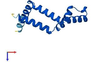 ENY2 Protein (AA 1-101) (His tag)