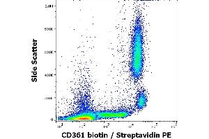 Flow cytometry surface staining pattern of human peripheral whole blood stained using anti-human CD361 (MEM-216) Biotin antibody (concentration in sample 6 μg/mL, Streptavidin PE). (EVI2B Antikörper  (Biotin))