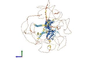 AlphaFold protein structure predicition of Human Recombinant BRD4 Protein, UniprotID O60885