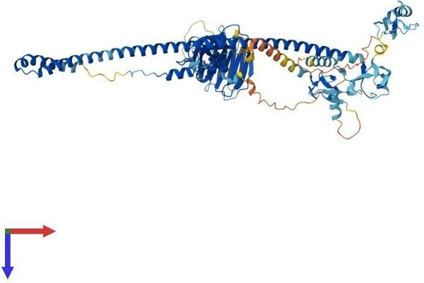 Midline 2 Protein (MID2) (AA 1-705) (His tag)
