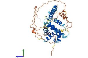 AlphaFold protein structure predicition of Mouse Recombinant Bcl2l14 Protein, UniprotID Q9CPT0