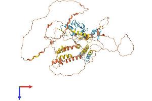 HIC1 Protein (AA 1-733) (His tag)