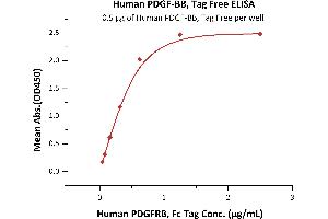 Immobilized Human PDGF-BB, Tag Free (ABIN6731333,ABIN6809924) at 5 μg/mL (100 μL/well) can bind Human PDGFRB, Fc Tag (ABIN2181628,ABIN2181627) with a linear range of 0. (PDGF-BB Homodimer (AA 82-190) (Active) Protein)