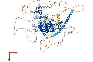 OTUD7A Protein (AA 1-926) (His tag)