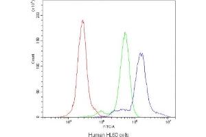 Flow cytometry testing of human HL60 cells with AGO1 antibody at 1ug/10^6 cells (blocked with goat sera) (AGO1 Antikörper  (AA 376-409))