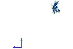 AlphaFold protein structure predicition of Mouse Recombinant Mis12 Protein, UniprotID Q9CY25