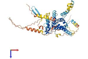 PPP1R36 Protein (AA 1-411) (His tag)
