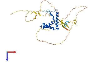 SOX12 Protein (AA 1-315) (His tag)