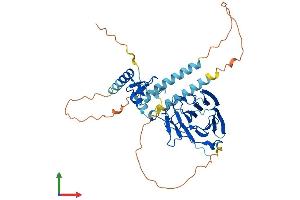 Protein Structure (PS) image for Ring Finger Protein 135 (RNF135) (AA 1-432) protein (His tag) (ABIN7551470)