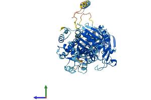 Protein Structure (PS) image for DEAD (Asp-Glu-Ala-Asp) Box Polypeptide 1 (DDX1) (AA 1-740) protein (His tag) (ABIN7564786)