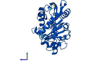 Protein Structure (PS) image for Glucosamine-6-Phosphate Deaminase 2 (GNPDA2) (AA 1-276) protein (His tag) (ABIN7548089)
