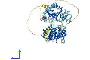AlphaFold protein structure predicition of Mouse Recombinant Ddx52 Protein, UniprotID Q8K301