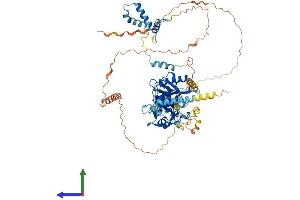 Protein Structure (PS) image for Radial Spoke Head 6 Homolog A (RSPH6A) (AA 1-717) protein (His tag) (ABIN7551599)
