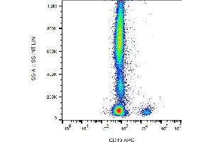 Flow cytometry analysis (surface staining) of human peripheral blood leukocytes with anti-human CD19 (4G7) APC.
