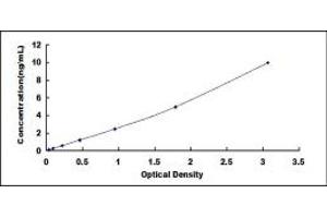 Typical standard curve