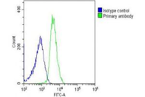 Overlay histogram showing U-2OS cells stained with Antibody (green line). (RPL14 Antikörper  (AA 117-147))