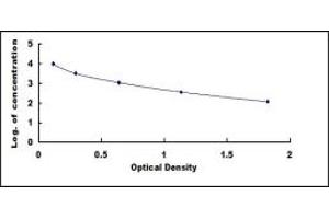 Typical standard curve (CTXIII ELISA Kit)