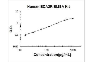 Ectodysplasin A2 Receptor (EDA2R) ELISA Kit