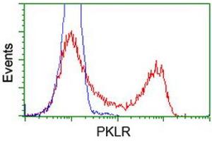 Flow Cytometry (FACS) image for anti-Pyruvate Kinase, Liver and RBC (PKLR) antibody (ABIN1500244) (PKLR Antikörper)