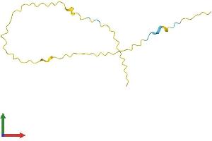G Antigen 12F (GAGE12F) (AA 1-117) protein (His tag)