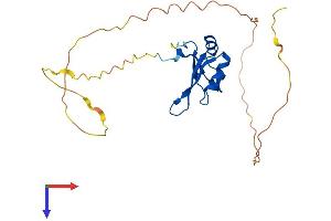 RBM24 Protein (AA 1-236) (His tag)