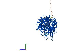 Protein Structure (PS) image for UDP-GlcNAc:betaGal beta-1,3-N-Acetylglucosaminyltransferase-Like 1 (B3GNTL1) (AA 1-357) protein (His tag) (ABIN7557119)