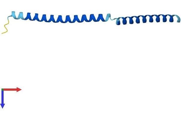 SYCE3 Protein (AA 1-88) (His tag)