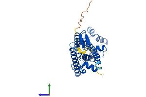 AlphaFold protein structure predicition of Human Recombinant ZDHHC24 Protein, UniprotID Q6UX98