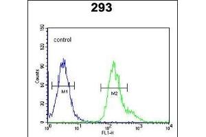 PCB Antibody (N-term) (ABIN651181 and ABIN2840115) flow cytometric analysis of 293 cells (right histogram) compared to a negative control cell (left histogram). (PMPCB Antikörper  (N-Term))