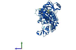 Protein Structure (PS) image for 3'-phosphoadenosine 5'-phosphosulfate Synthase 2 (PAPSS2) (AA 1-614) protein (His tag) (ABIN7554911)