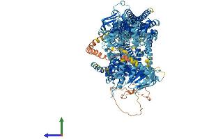 Protein Structure (PS) image for ATP-Binding Cassette, Sub-Family C (CFTR/MRP), Member 9 (ABCC9) (AA 1-1546) protein (His tag) (ABIN7563512)