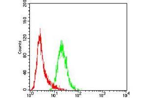 Flow Cytometry (FACS) image for anti-Wilms Tumor 1 Associated Protein (WTAP) (AA 91-201) antibody (ABIN5542406)