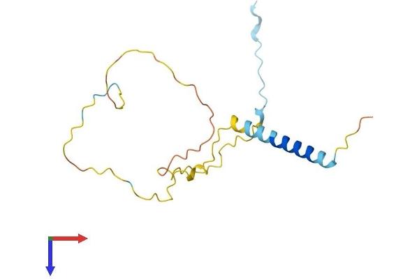 GAPT Protein (AA 1-157) (His tag)